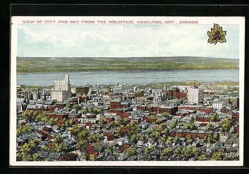 AK Hamilton, View of City and Bay from the Mountain