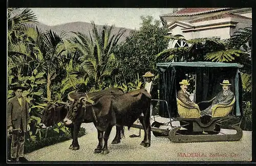 AK Madeira, Bullock Car