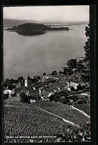 AK Twann am Bielersee, Ortsansicht gegen die Petersinsel