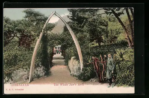 AK Gibraltar, the Whale Jaw`s Arch