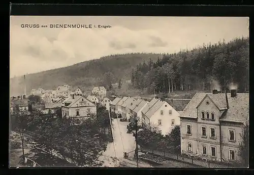 AK Bienenmühle / Erzgeb., Gesamtansicht