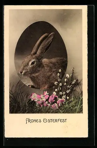 AK Osterhase und Palmkätzchenzweige