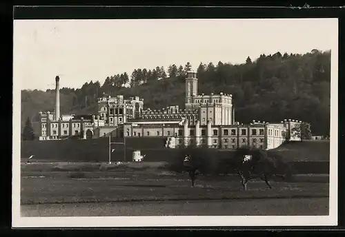 AK Rheinfelden, Brauerei Feldschlösschen, Totalansicht