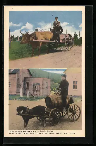 AK Québec, Old Norman Ox Cart, Waterboy and Dog Cart