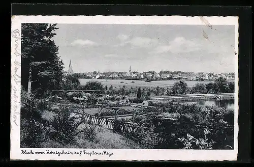 AK Treptow /Rega, Blick vom Königshain