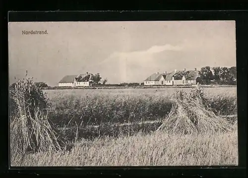 AK Nordstrand, Blick über die Wiese auf Gebäude