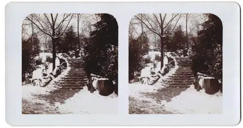 Stereo-Fotografie unbekannter Fotograf, Ansicht Mainz, Partie im verschneiten Stadtpark