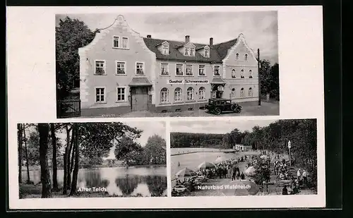 AK Dahlen i. Sa., Gasthof Schmannewitz, Alter Teich und Naturbad Waldteich