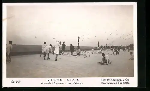 AK Buenos Aires, Avenida Costanera, Las Palomas