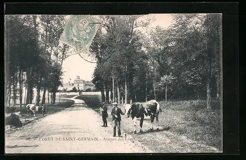 AK Forêt de Saint-Germain, Avenue des Loges