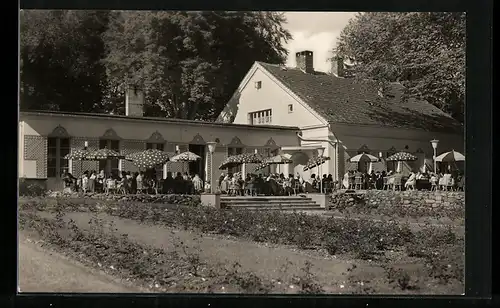 AK Putbus /Rügen, Konsum-Rosen-Café