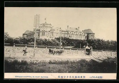 AK Port Arthur, Sekijuji Hospital