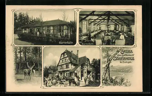 AK Esslingen, Luftkurort-Kurhotel Jägerhaus, Gartenhalle, Inneres der Gartenhalle