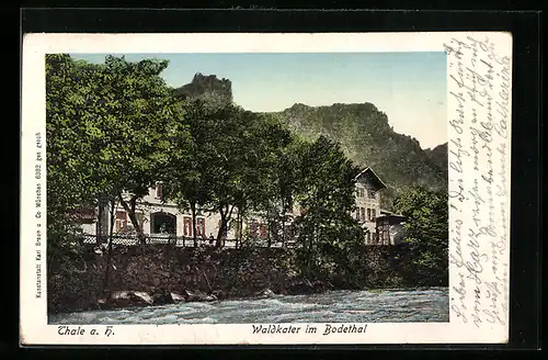 Goldfenster-AK Thale, Hotel Waldkater mit leuchtenden Fenstern, Bodethal