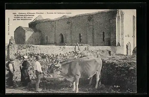 AK Olonne, Chateau, Ruines de l`Abbaye royale, Ochsen