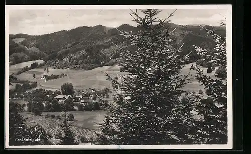 AK Grossholzleute, Blick auf die kleine Ortschaft im Tal