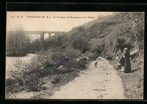 AK Thouars, Les Coteaux de Pommiers et le Viaduc