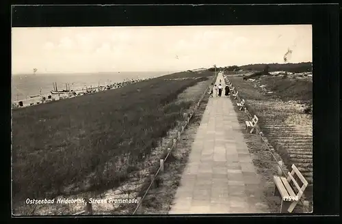 AK Heidebrink, Spaziergang in den Dünen