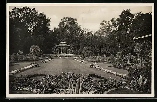 AK Kolberg, Rosengarten mit Pavillon