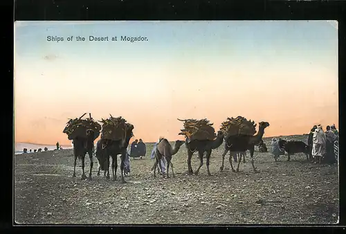 AK Mogador, Ships of the Desert