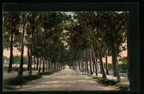 AK Montevideo, Avenida del Prado