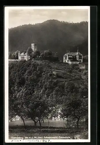 AK Hornberg /bad. Schwarzwald, Blick auf die Gauschule