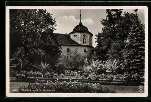 AK Zittau, Stadtgärtnerei mit Blumenuhr