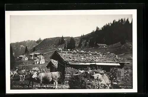 AK Steinberg Alm bei Kufstein, Ortspartie mit Kühen