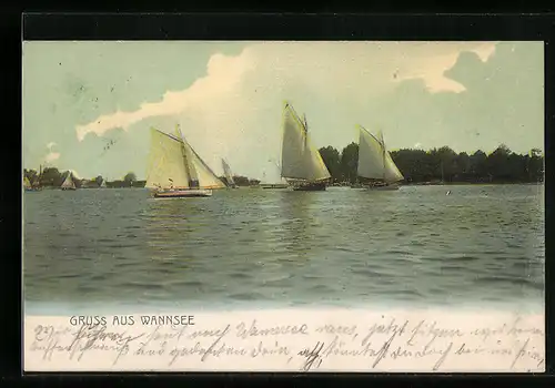 AK Berlin-Wannsee, Segelboote auf der Havel