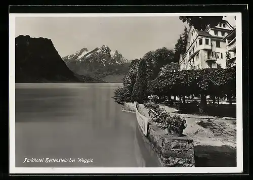 AK Weggis, Parkhotel Hertenstein, Panorama