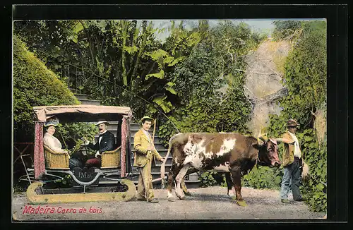 AK Madeira, Carro de bois - Gespann