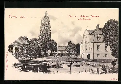 AK Cadinen, Kaiserl. Schloss, Parkpartie