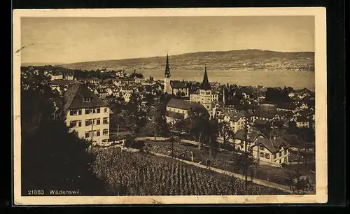 AK Wädenswil, Generalansicht der Stadt