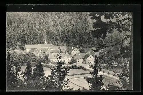 AK Luisenthal (Thür. Wald), Ortsansicht von einem Berg aus