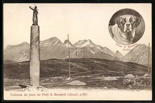 AK Petit S. Bernard, Colonne de Joux, Chien S. Bernard