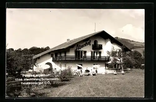 AK Viechtwang /Scharnstein, Pension Alpenhof