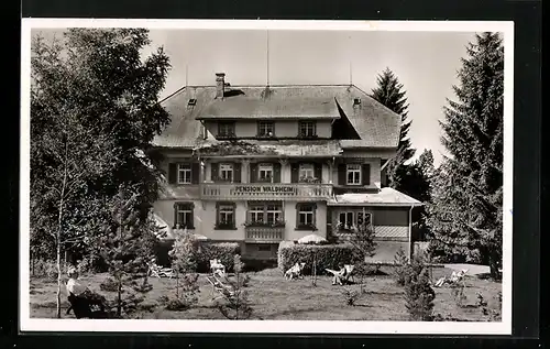 AK Hinterzarten / Schwarzwald, Pension Waldheim