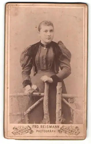 Fotografie Frd. Reismann, Haindorf, Portrait bezaubernde Dame mit Brosche am Kragen