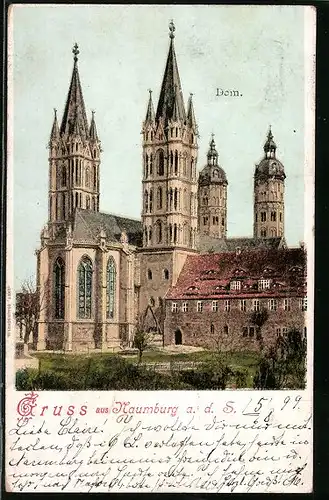 AK Naumburg a. d. S., Dom mit Park