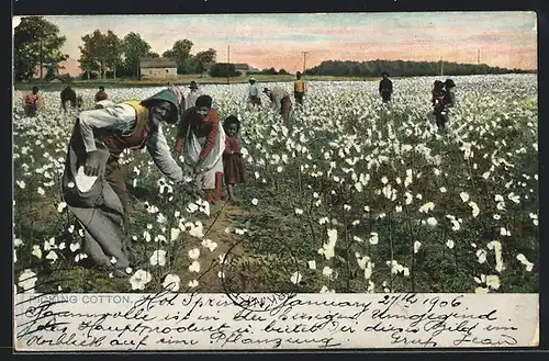 AK Baumwollpflücker auf dem Feld