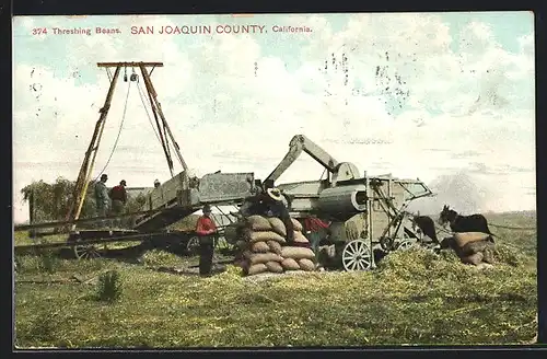 AK San Joaquin County, Threshing Beans