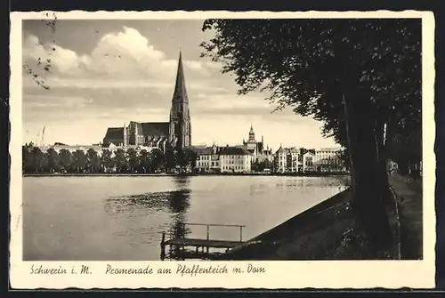 AK Schwerin i. M., Promenade am Pfaffenteich mit Dom