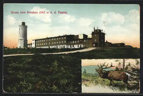 AK Brocken / Harz, Brocken-Hotel und Aussichtsturm