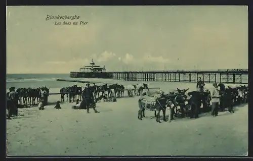 AK Blankenberghe, Les ânes au Pier