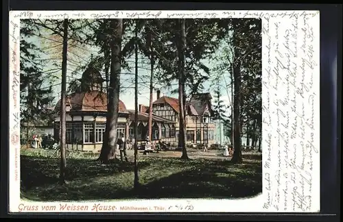 AK Mühlhausen /Th., Gasthaus zum weissen Hause F. Scheuer mit Garten und Gästen