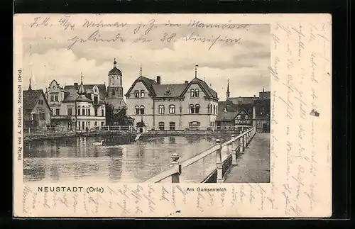 AK Neustadt (Orla), Am Gansenteich