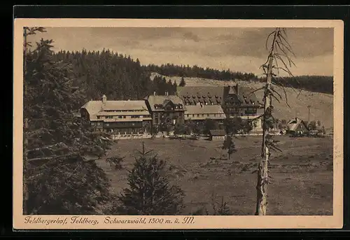 AK Feldberg i. Schwarzwald, Restaurant Feldbergerhof