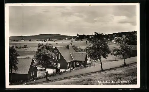 AK Schellerhau im Erzgebirge, auf der Wiese an den Wohnhäusern