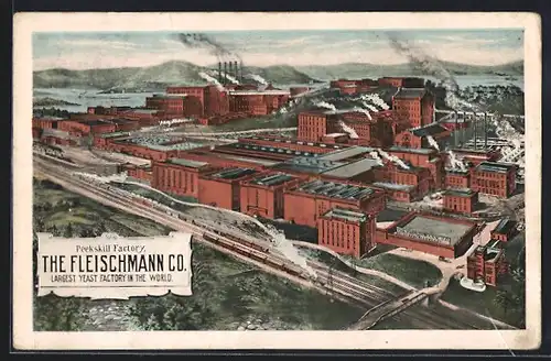 AK Peekskill, NY, The Fleischmann Co. Factory