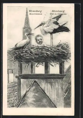 AK Strassburg, Storchennest, ein Baby sitzt im Nest des Klapperstorchs auf dem Schornstein
